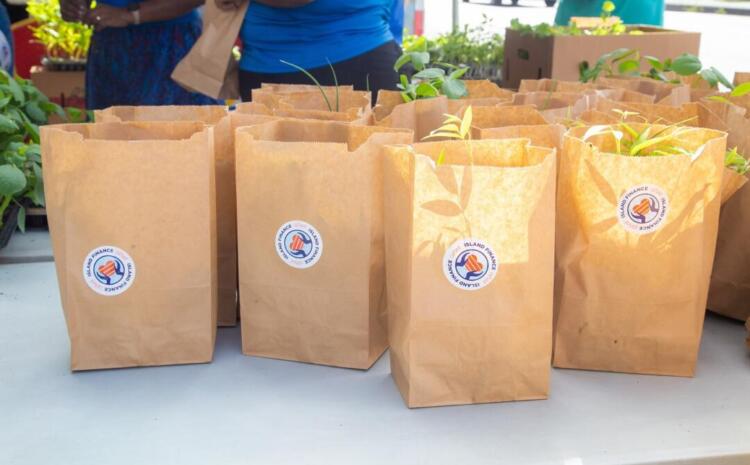 seedlings, Island Finance Trinidad and Tobago